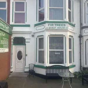 Fir Trees Guest house